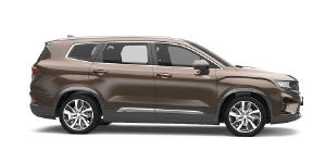 proton x90 side cinnamon brown